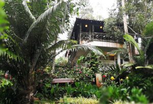 japanese village bukit tinggi